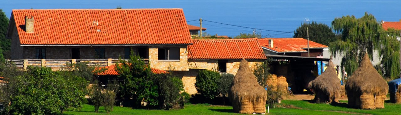 varas de hierba